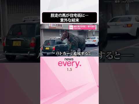 【午年の“珍事”】脱走の馬が住宅街に  意外な結末 サムネイル