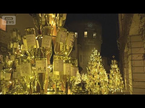 冬の夜を彩るワインボトルのツリー 生産地ならではのXmasイルミネーション　山梨(2025年12月23日) サムネイル