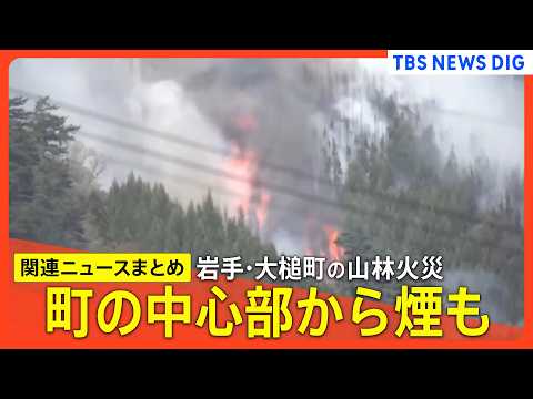 【山林火災 岩手･大槌町】山火事発生 5日目　町の中心部から煙/消火活動と並行して避難者の心の支援も/避難指示エリア拡… サムネイル