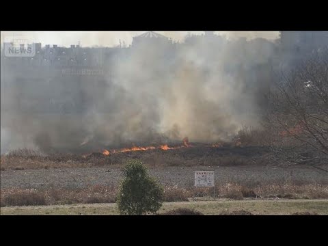 多摩川の河川敷で枯れ草が焼ける火事　約4万6000平方メートル延焼(2026年2月21日) サムネイル