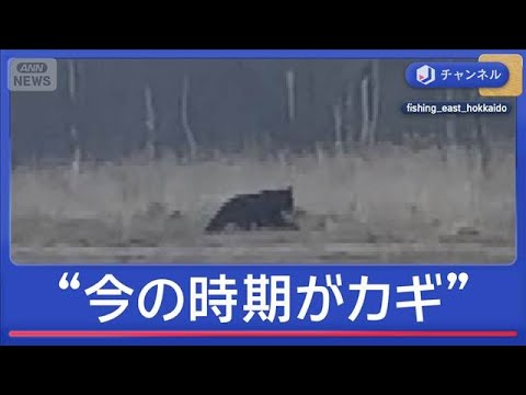被害防止のカギは春？クマ対策が本格始動【スーパーJチャンネル】(2026年4月1日) サムネイル