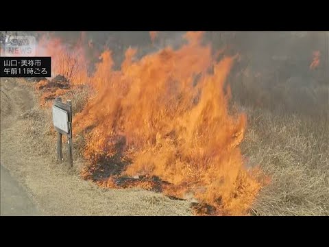 秋吉台の山焼きで作業員1人が死亡　衣服に火が燃え移る　山口(2026年2月14日) サムネイル