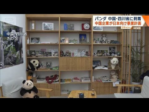 双子パンダが中国・四川省に到着　中国企業が日本向け事業計画【ワイド！スクランブル】(2026年1月28日) サムネイル