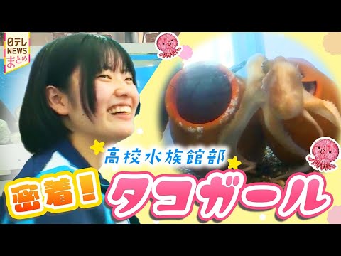 【青春物語】学校の中に水族館⁈ タコを魅せられた女子高校生/制限時間内で完成! 高校生が挑む“アートスポーツ” サムネイル