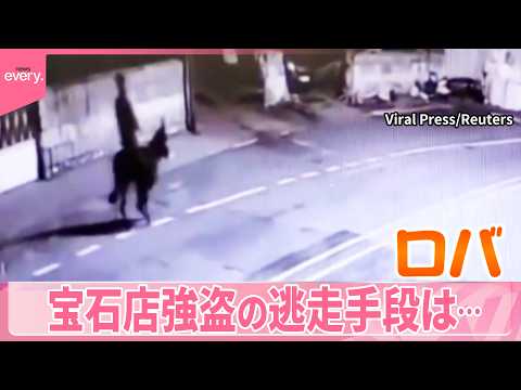 【トルコ】宝石店強盗の逃走手段は…ロバ？  逃げ足はのんびり『世界のミダシ』 サムネイル