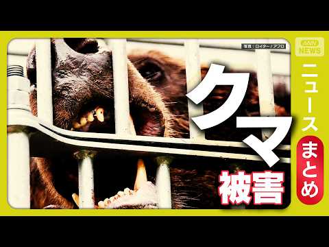 【クマ】ハンター驚く“春に異例の300kg超クマ”／“人間由来の食べ物”学習し執着か…GW前に“春のクマ”出没相次ぐ／… サムネイル
