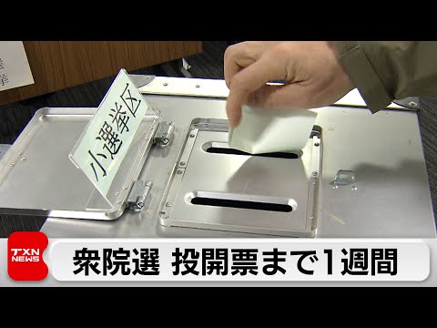 「衆院選」投開票日まで残り1週間　きょうから国民審査がスタート サムネイル