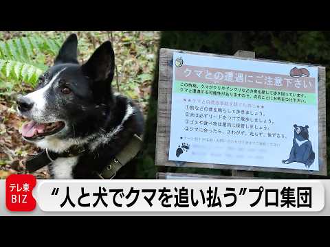 “人とクマが棲み分ける境界線”は無くなったのか？人と犬で追い払うプロ集団に密着【ガイアの夜明け】 サムネイル