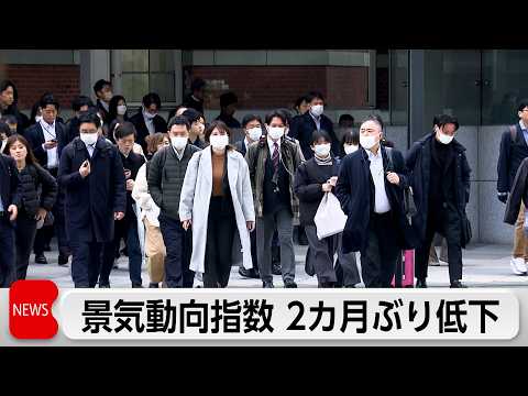 2月景気動向指数 2カ月ぶりの低下 サムネイル