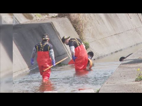 首に“裂けた傷”　川で発見の男性死亡　大分市【スーパーJチャンネル】(2026年3月20日) サムネイル