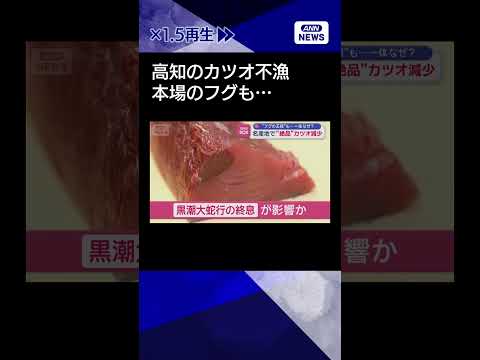 【ニュース】名産地で“絶品”カツオ減少“フグの王様”も…一体なぜ？ shorts サムネイル