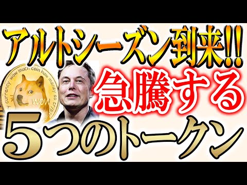 【※1枚20円!!】歴史的にクリスマスに上昇している5つのトークンとは？【ビットコイン/ドージコイン】 サムネイル