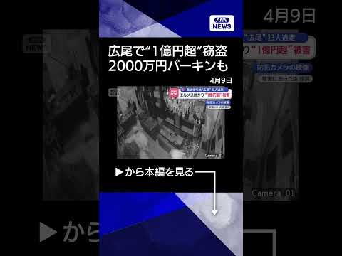 【ニュース】2000万円バッグも…広尾で“1億円超”被害　犯人逃走中shorts サムネイル