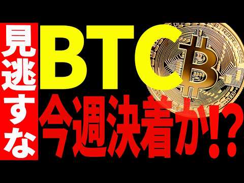 ビットコイン今週に決着か⁉︎今後の見逃し厳禁ポイントを教えます！【仮想通貨】 サムネイル