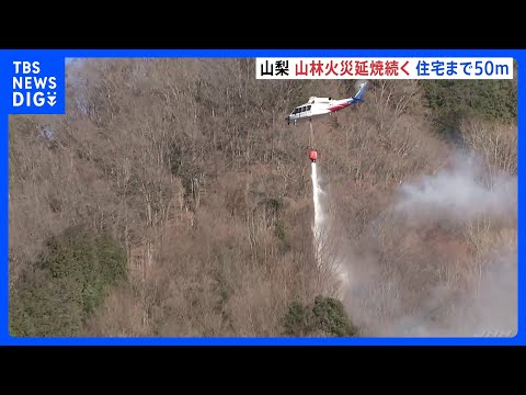 延焼続く山梨・上野原市の山林火災　これまでに16へクタール焼失　火は住宅まで50mに迫る｜TBS NEWS DIG サムネイル