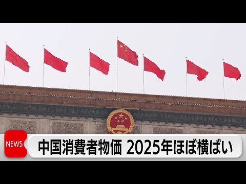 中国の消費者物価　12月は0.8％上昇　2025年はほぼ横ばい　政府目標から大きな隔たり サムネイル