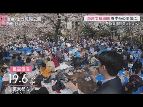 多様化する花見スタイル　利用4倍のレンタルスペースも　人気の理由は“四重苦”回避【サタデーステーション】(2026年3… サムネイル