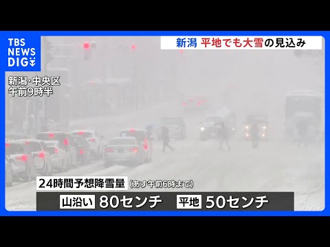 「家から出られないかと思った」日本海側中心に大雪　新潟では24時間に最大80センチの降雪予想　警戒呼びかけ｜TBS N… サムネイル