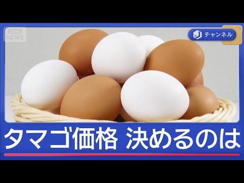 6カ月連続300円超　高騰タマゴ　価格は誰がどう決める？【スーパーJチャンネル】(2026年1月20日) サムネイル
