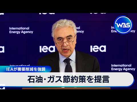 石油・ガス節約策を提言　IEAが需要削減を強調【WBS】 サムネイル