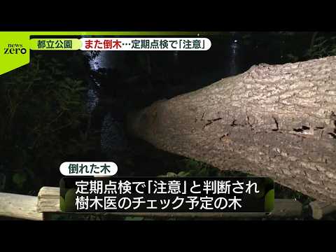 【善福寺公園で倒木】定期点検で「注意」東京・杉並区 サムネイル
