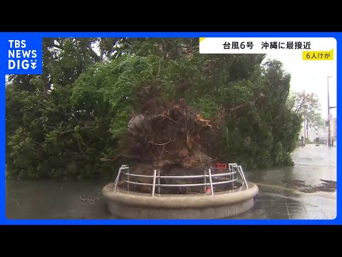 【台風6号最接近】最大瞬間風速40.6m 沖縄・うるま市で6月観測史上最大に　県内で少なくとも6人けが　各地で街路樹倒… サムネイル