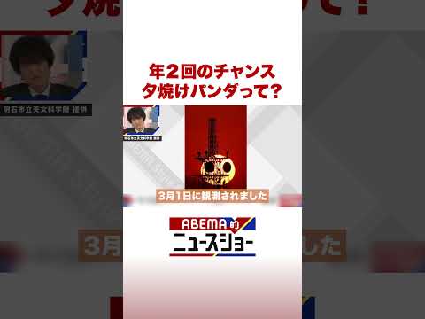 年2回のチャンス 夕焼けパンダって？ ABEMA的ニュースショー Shorts サムネイル