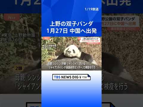 上野の双子パンダ 中国への返還に向け、今月27日に日本を出発　翌日に中国・四川省のジャイアントパンダ保護研究センターへ… サムネイル