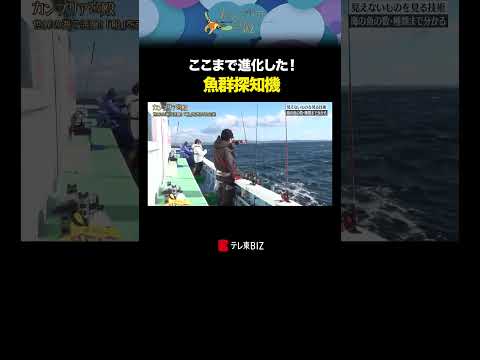 ここまで進化した！魚群探知機 shorts 釣り 古野電気 カンブリア宮殿 テレ東BIZ サムネイル