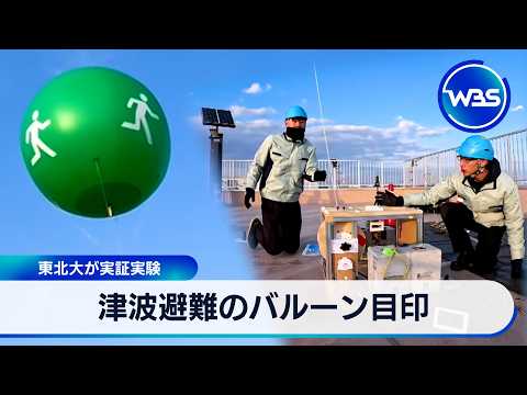 津波避難のバルーン目印 東北大が実証実験【WBS】 サムネイル