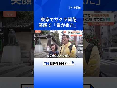「暗いニュースが多いのでちょっと喜ばしい気持ち」東京の桜が開花　発表基準を上回る“61輪”　平年より5日早い｜TBS… サムネイル