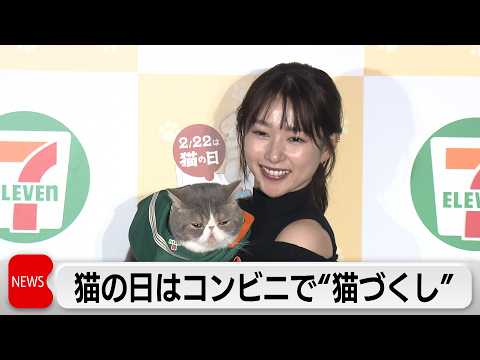 セブン‐イレブン「猫の日」に合わせ猫がモチーフのスイーツなど発売　桜井日奈子さん「パッケージがネコのものって放っておけ… サムネイル