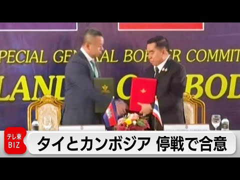 タイとカンボジアが停戦で合意　攻撃停止の実効性が焦点 サムネイル