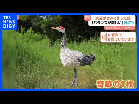 【洗濯ばさみで作った『鶴』】奇跡の1枚「バランスが難しい」 何度もこけて壊れてを繰り返した…細部まで再現！｜TBS N… サムネイル