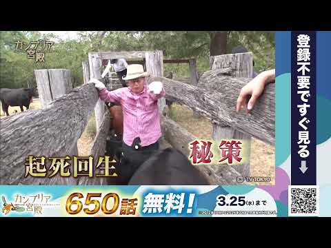 【650話無料開放記念】カンブリア宮殿ループライブ サムネイル