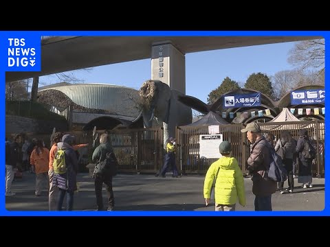 【速報】東京・日野市の多摩動物公園で脱走のオオカミを捕獲　きょうは臨時休園に　年内の営業は終了｜TBS NEWS DIG サムネイル