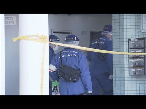 アパート殺人放火事件　遺体は42歳の女性会社員　愛知・豊田市(2026年1月19日) サムネイル