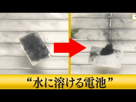 レアメタルも回収！“水に溶ける電池”【ブレイクスルー】 サムネイル