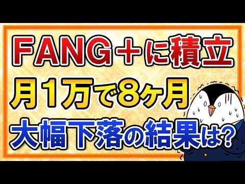 【大幅下落】FANG+に積立したらどうなった？月1万で8ヶ月の運用結果を公開 サムネイル