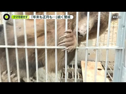 【クマに襲われた可能性】山林でハンター死亡　冬眠せず…各地で出没相次ぐ　年末に警戒 サムネイル