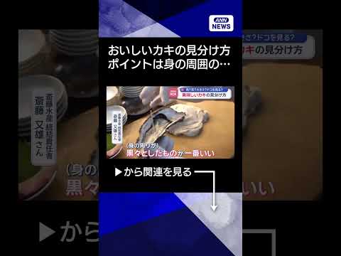 【ニュース】美味しいカキの見分け方　色？形？大きさ？ドコを見る？shorts サムネイル