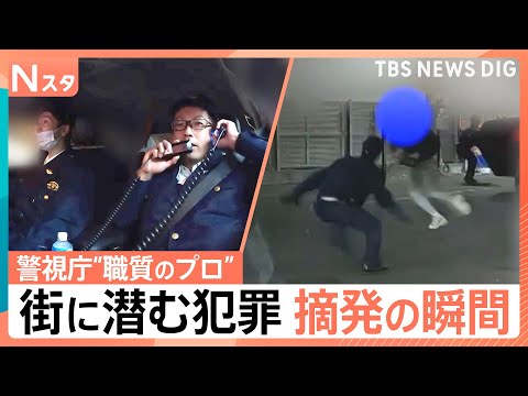 繁華街のカーチェイス/駐車場でコカイン所持/街に潜む犯罪摘発の瞬間　密着！警視庁自動車警ら隊【それスタ】｜TBS NE… サムネイル