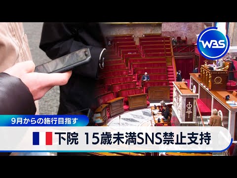 仏下院 15歳未満SNS禁止支持 9月からの施行目指す【WBS】 サムネイル