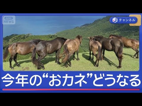 2026年のおカネ事情　物価・賃金・株価・光熱費　専門家の予想は【スーパーJチャンネル】(2026年1月5日) サムネイル