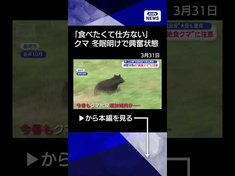 【ニュース】冬眠明けの“絶食クマ”は興奮状態で危険【スーパーJチャンネル】(2026年3月31日) shorts サムネイル