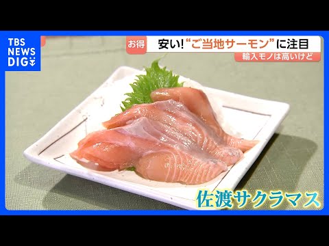 人気No.1のサーモン「輸送コスト増」イラン情勢でノルウェー産など高値に… いま国産の“ご当地サーモン”に脚光｜TBS… サムネイル