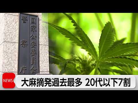 大麻摘発者数が過去最多6832人　20代以下が7割を占める サムネイル