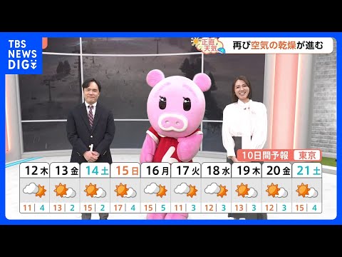 【2月12日 関東の天気】一進一退 これぞ春｜TBS NEWS DIG サムネイル