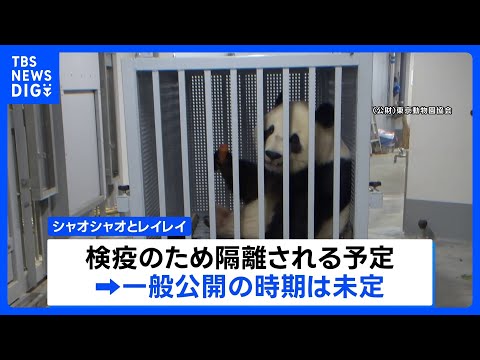 双子パンダ「シャオシャオ」「レイレイ」 中国に到着　検疫のため隔離へ　一般公開の時期は未定｜TBS NEWS DIG サムネイル