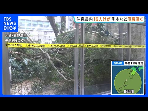 【台風6号】鉄骨がむき出しに…沖縄県内各地で倒木被害など相次ぐ 台風により16人けが　本島と周辺離島で1万戸あまり停電… サムネイル